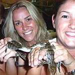 croco-farm