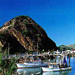 rosslynbay